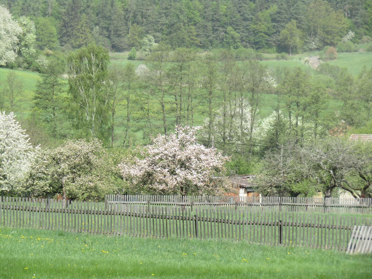 Vila Rekreacni Dum Brdy Ohrazenice  Exteriér fotografie
